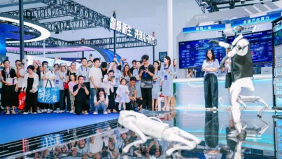 2025数博会展示AI多场景融合，人形机器人成焦点