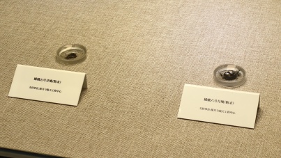 科普月开启百场科技体验，4D打印、月壤样品等前沿成果首次近距离亮相