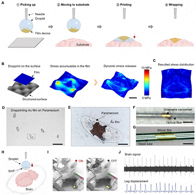 我国研发液滴打印技术,实现超薄器件无损转印