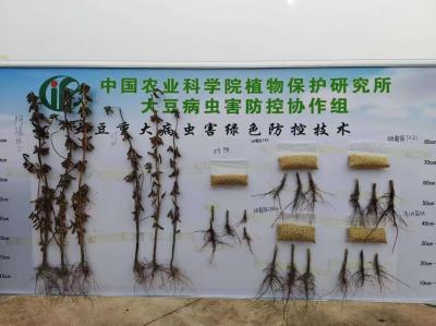 绿色植保新方向：生物农药的成长挑战与市场前景