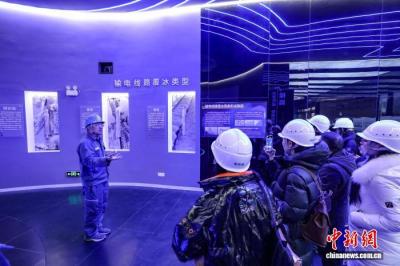 梅花山上筑起“御冰堡垒” 南方电网科技护航冬季电网