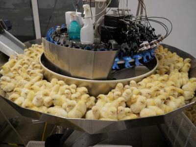 技术赋能养殖业 松桃智能养鸡助农增收