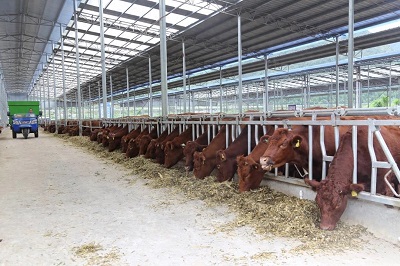 科技助力农业现代化 智慧装备提升生产效益