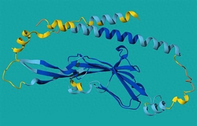 蛋白结构预测AI问世五载，颠覆性推动生命科学研究