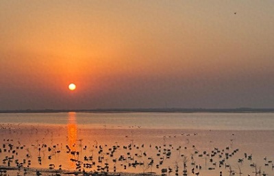 鄱阳湖候鸟越冬迎来高峰 智能监测护航迁徙之路