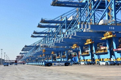 五年深耕，新一代通信技术如何重塑社会生态与产业格局